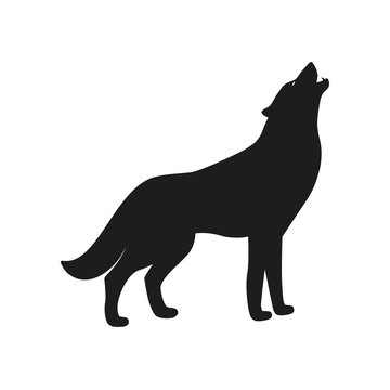 Wolf icon. Flat vector illustration on white background.