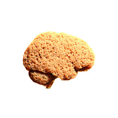 Human Brain from Yellow Sponge. Concept of Cognition, Learning, Immersion, Knowledge, Brain Susceptibility, Information, Media, Trust. 3D Render Isolated on White Background.