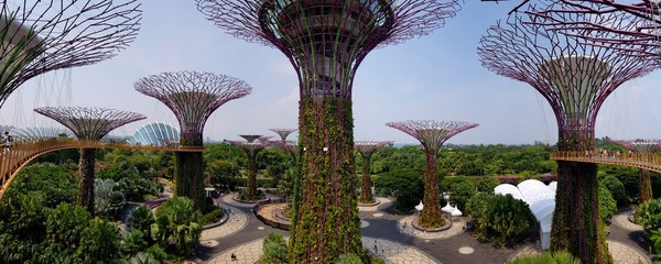 Panoramic view gardens by the bay Singapore