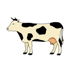 Cow color silhouette. Flat vector illustration on white background.