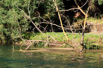 Sesto Calende (VA), Italy - September 15, 2016: The Ticino riverside view from a tourist boat, Lombardy, Piedmont, Italy.