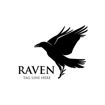 raven fly logo icon vector design