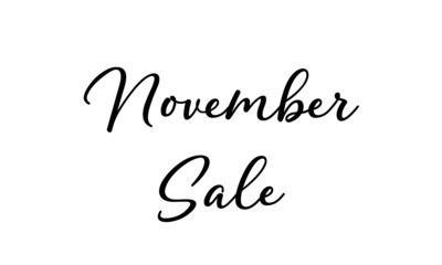 November Sale handwritten lettering on isolated white background. Modern Calligraphy