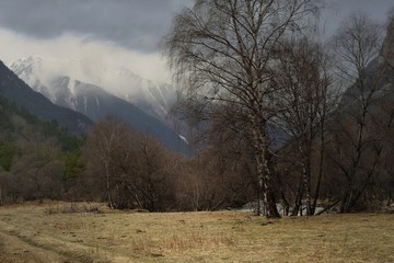 Obraz premium Spring in mountains