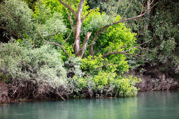 Mantova (MN), Italy - June 10, 2017: Po river view and landscape from a boat, Mantova, Lombardy, Italy