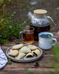 Picnic in the woods, blueberry pies and herbal tea.