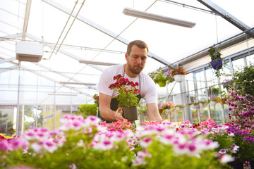 happy worker growing flowers in a greenhouse of a flower shop