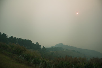 The sunset in the evening and full of haze from burning forests