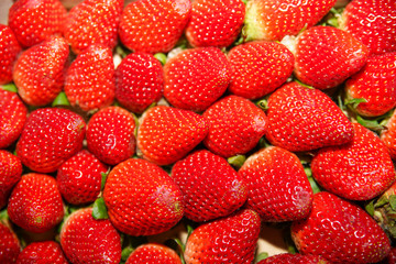  Lots of strawberries next to each other