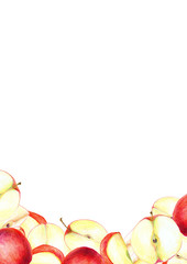 Red apples illsutration, as decortive ellement with fruits on white background. Hand drawing with colour pencil. For cards, banner, kitchen, food packing design.