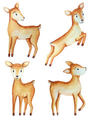 Watercolor illustration with cute deer babies.