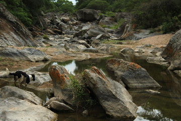 Paisajes de Catamarca