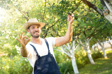 Happy farmer in orchard