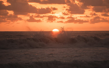 Fototapeta premium Fine Art