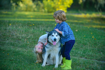 Naklejka na ściany i meble Funny Children brother and sister and dog together in park. Two children having trekking vacation day with dog pet having fun in nature.