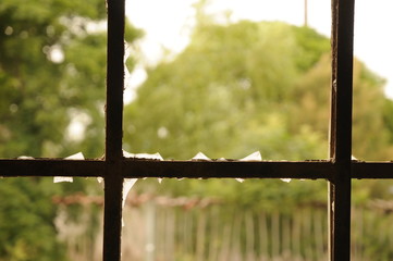Fototapeta premium Ventana
