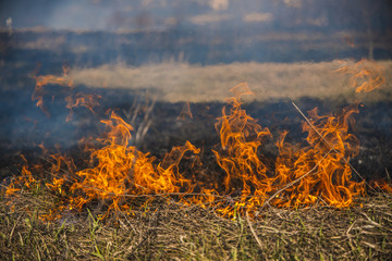 горящее поле, burning field