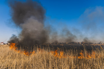 Fototapeta na wymiar горящее поле, burning field