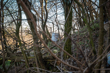 Bucket and other garbage left over in nature