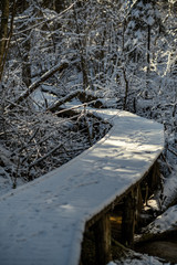 snowy pathway for walking in forest in winter