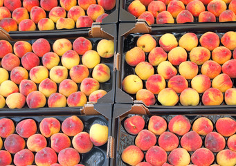 peaches for sale at grocery store