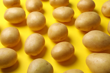 Fototapeta na wymiar Many young potato on yellow background. Ripe vegetable