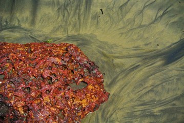 Orange rock and black and brown sand