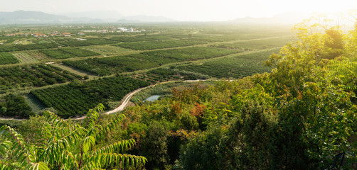 Panorama of agricultural land. Valley of fields and fruit farms with irrigation system	