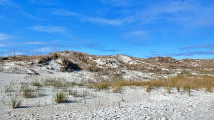 Sand dunes at the beach