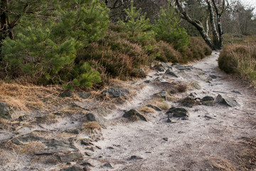 Weg Landschaft Natur