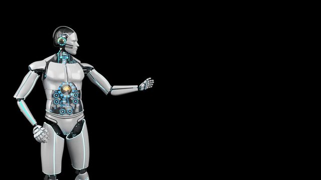 Humanoid Robot Presentation