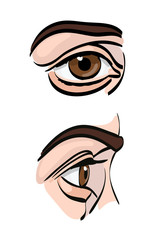 Human eye. Vector illustration. Front and side. Isolated on white. Brown eye pupil.