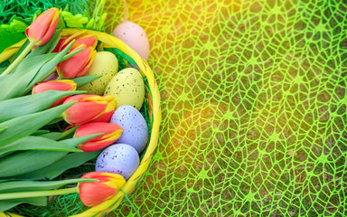 Different color Easter egg on a grass with flowers