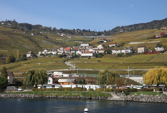 Vineyards of the village of Epesses in Switzerland
