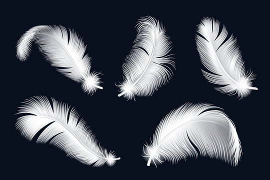 Isolated white feathers set. Realistic birds fluffy feather collection, goose, dove falling fluf vector illustration