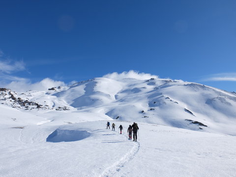 Skieurs de ski de randonn&eacute;e et alpiniste en montagne qui skient sur la neige et la glace en plein soleil des alpes dans le Queyras de saint V&eacute;ran