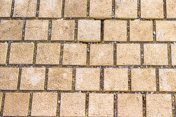 Backgrounds and textures. Clay- colored paving slabs in the form of squares in a recreation Park, according to the type of pavement.