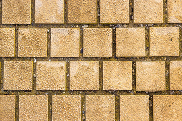 Backgrounds and textures. Clay- colored paving slabs in the form of squares in a recreation Park, according to the type of pavement.