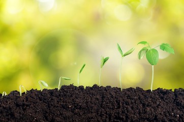 Grow.