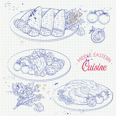 Middle Eastern cuisine, arabian dishes.