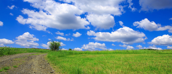 Rural road with green field and white big clouds.