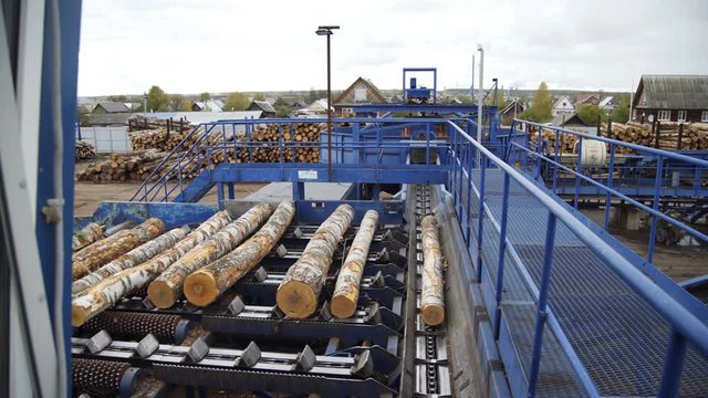 Lumber industry. Conveyors of logs in front of cutting machines. The modern cutting line in saw mill. Conveyors on input of cutting line.