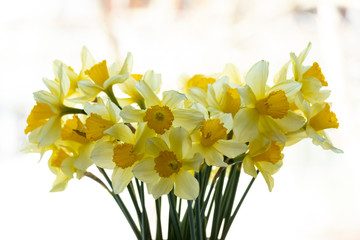 Bouquet of yellow daffodils. In a vase on the window. Spring flowers, background.
