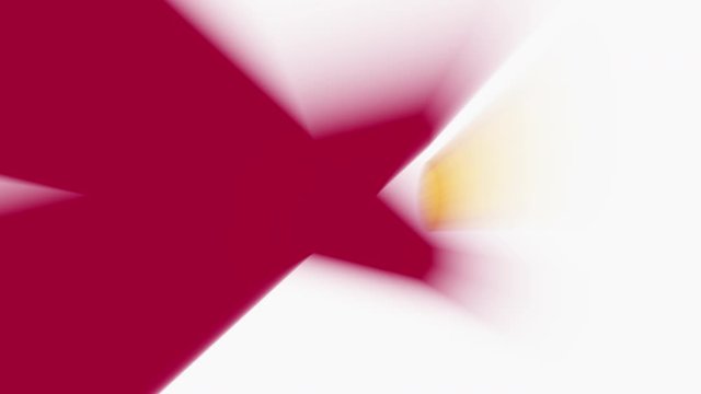 Florida State Flag with Light Rays Animation
