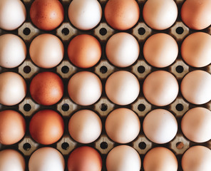 Raw eggs background.