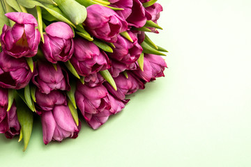 bouquet of pink tulips/ Easter day background. Bouquet of tulips on a green background, web banner