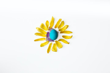 Blue easter egg surrounded with yellow flower petals, shape of a sun isolated on white background, easter or spring concept