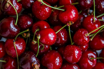 cherry berries close up macro