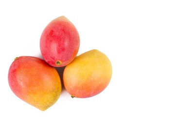 Ripe mangoes on a white background. Tropical fruit concept.