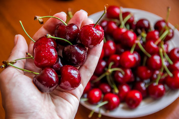 closeup cherry berries with hand